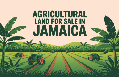 Agricultural Land for Sale in Jamaica: What to Know Before You Buy